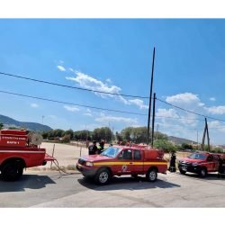 2039057916462160313_n