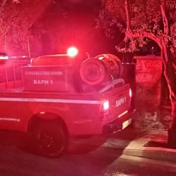 2380928528723961319_n