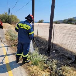 5057404377267267884_n