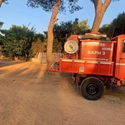 5766146785666893207_n