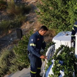 6254729546943212362_n