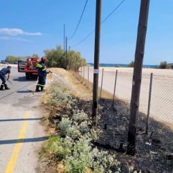 8597670958075077218_n